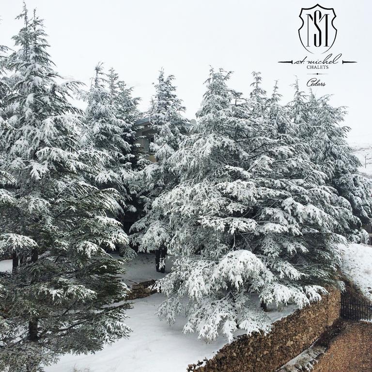 Saint Michel Chalets Al Arz Exterior foto